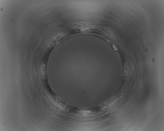 X0000068770650200605011028