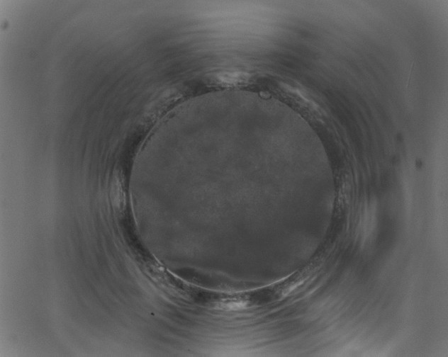 X0000068770651200605011028