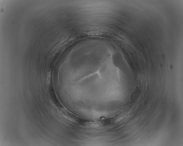 X0000068770652200605011028