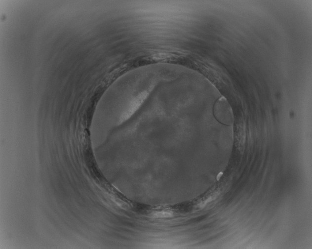 X0000068770653200605011028