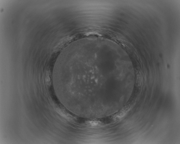 X0000068770654200605011028