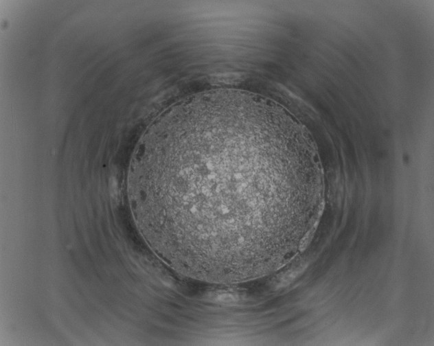 X0000068770655200605011028