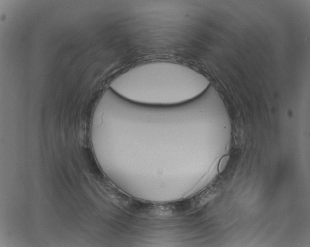 X0000068770656200605011028