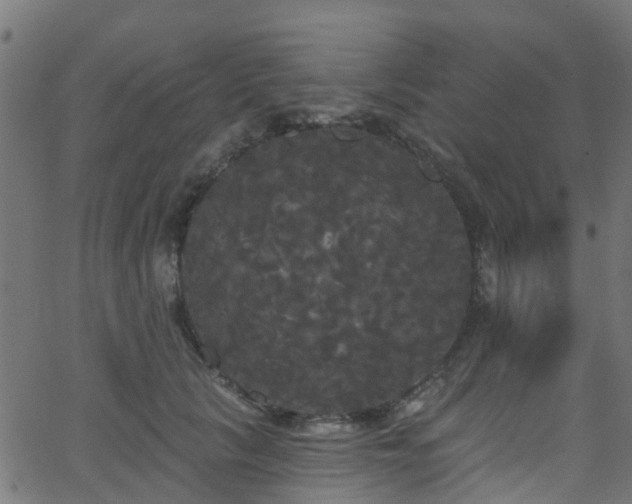 X0000068770657200605011028