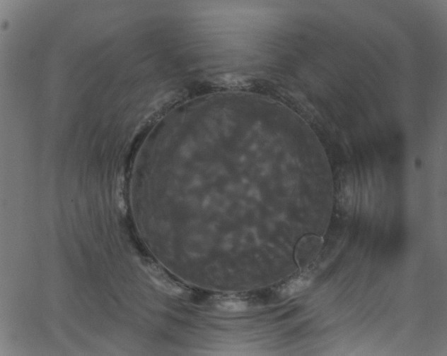 X0000068770658200605011028