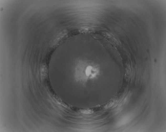 X0000068770659200605011028