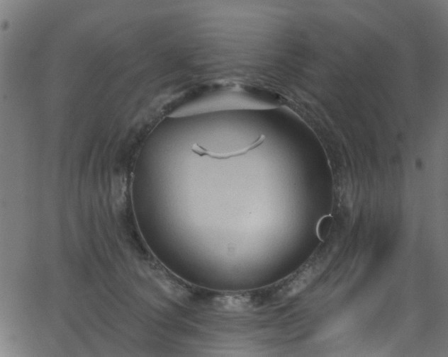 X0000068770660200605011028