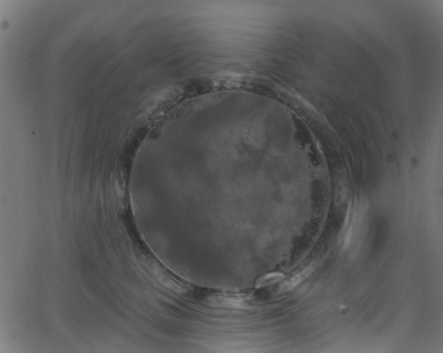 X0000068770661200605011028