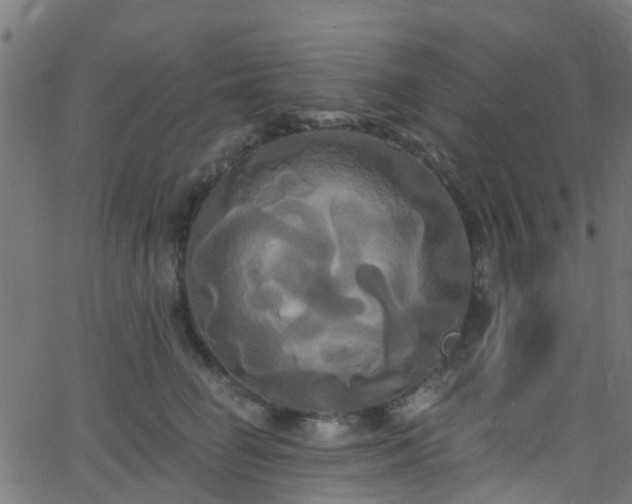 X0000068770662200605011028