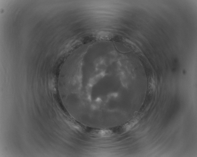 X0000068770663200605011028