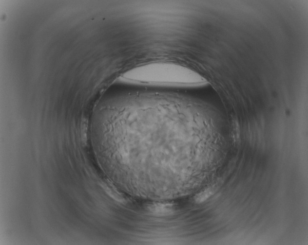 X0000068770664200605011028