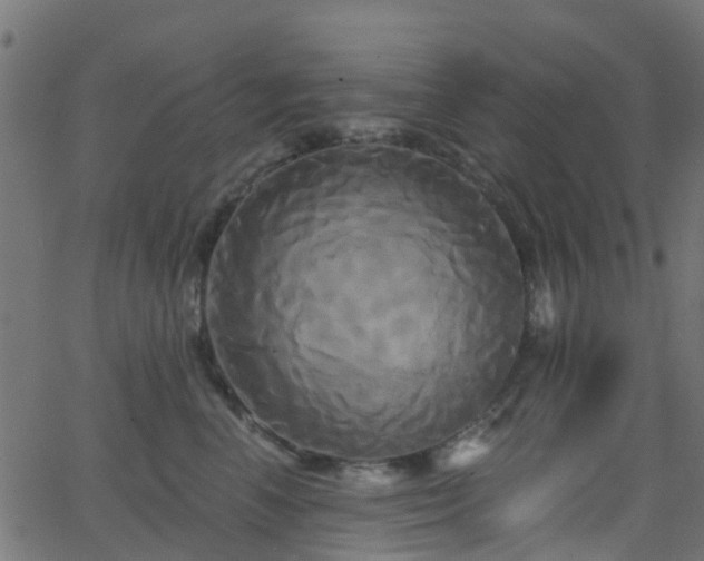 X0000068770666200605011028