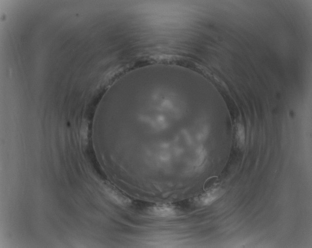 X0000068770668200605011028