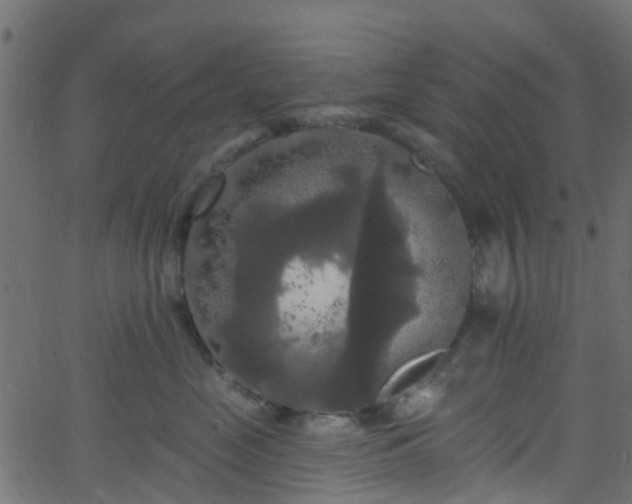 X0000068770669200605011028