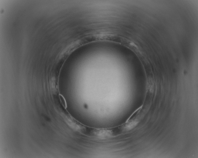 X0000068770670200605011028