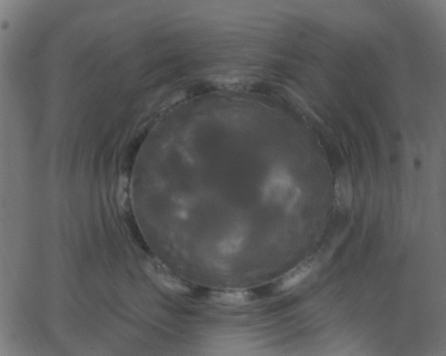 X0000068770671200605011028