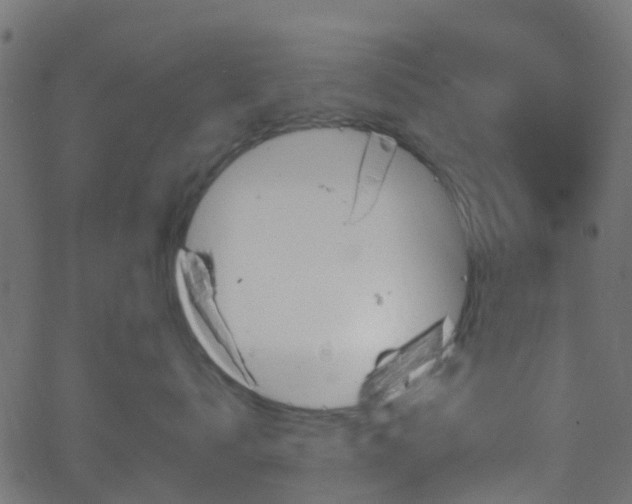 X0000068770672200605011028