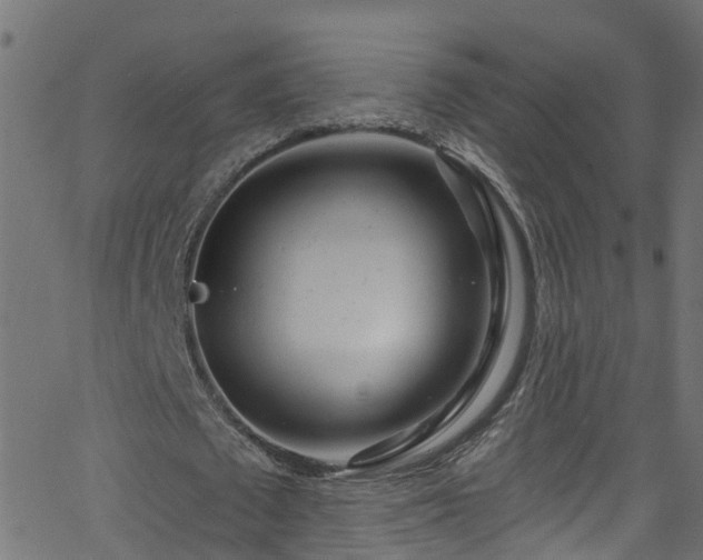 X0000068770673200605011028