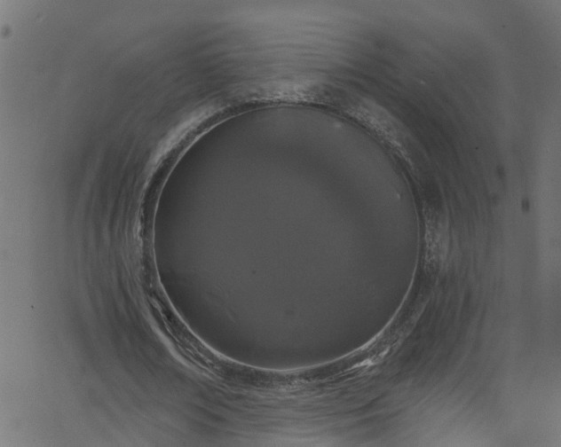 X0000068770674200605011028