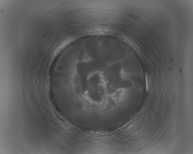 X0000068770675200605011028