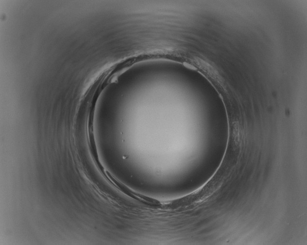 X0000068770676200605011028