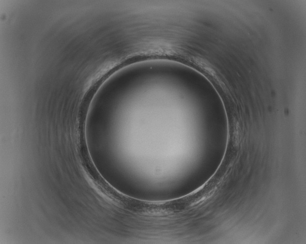 X0000068770677200605011028