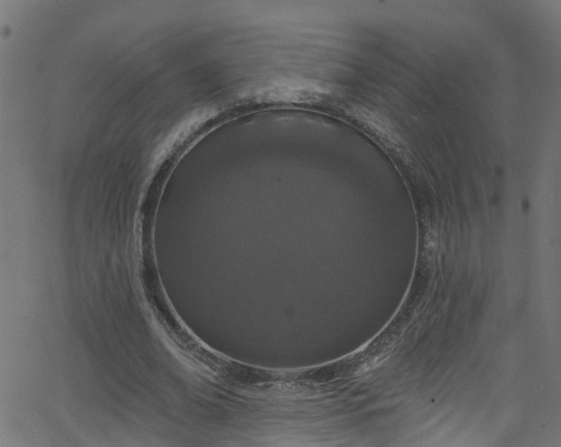 X0000068770678200605011028