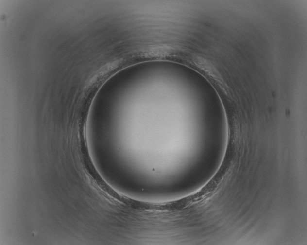 X0000068770681200605011027