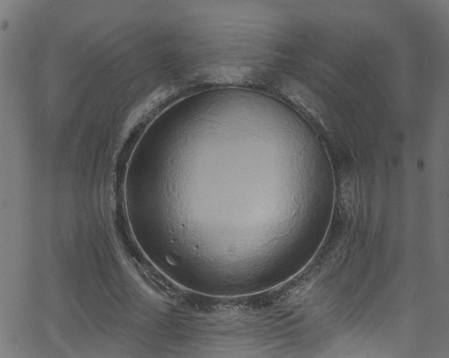 X0000068770682200605011027