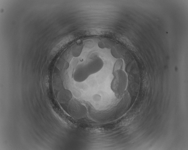 X0000068770683200605011027