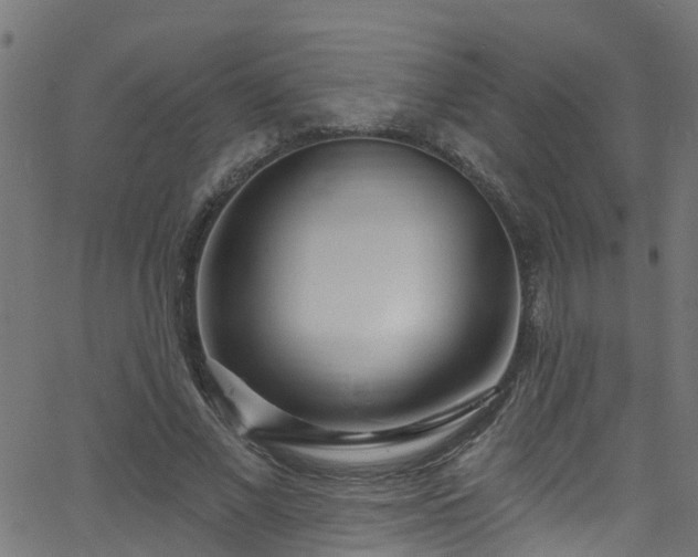 X0000068770685200605011027