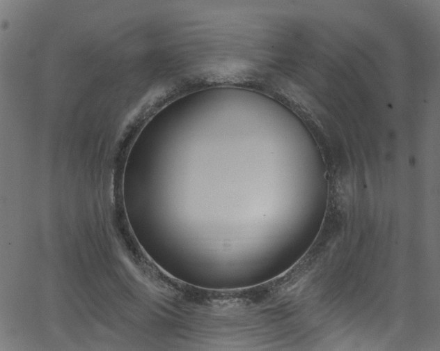 X0000068770686200605011027