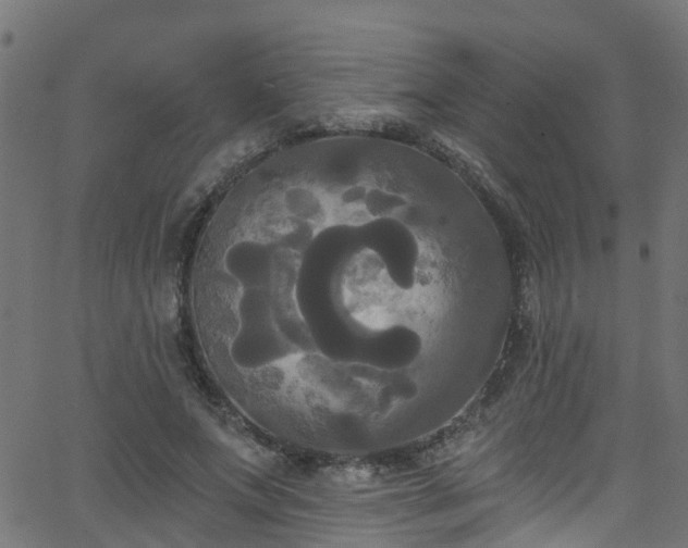 X0000068770687200605011027