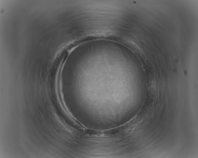 X0000068770688200605011027