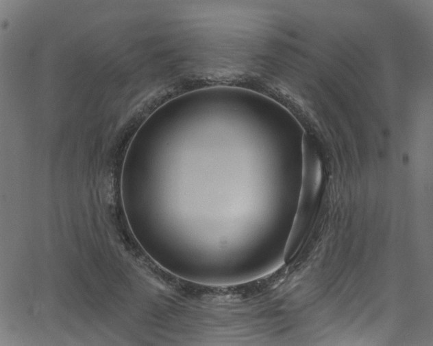 X0000068770689200605011027