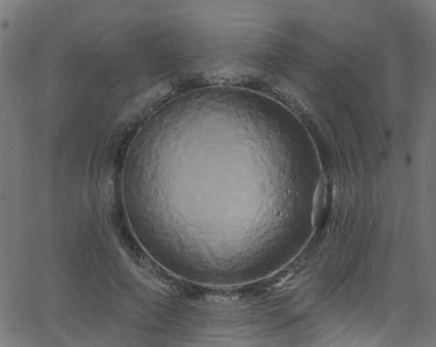 X0000068770690200605011027