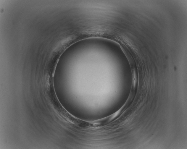 X0000068770692200605011027