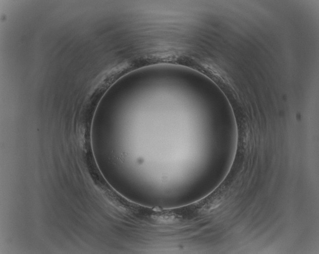 X0000068770693200605011027