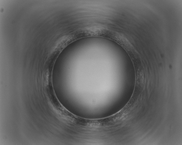 X0000068770694200605011027