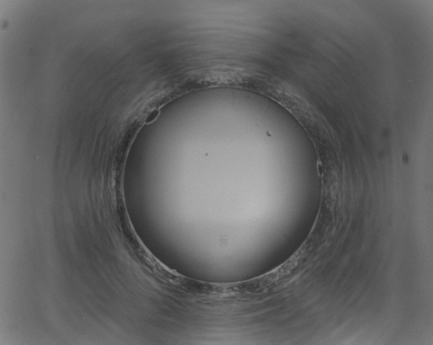 X0000068770696200605011027