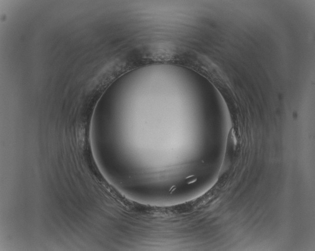 X0000068770697200605011027