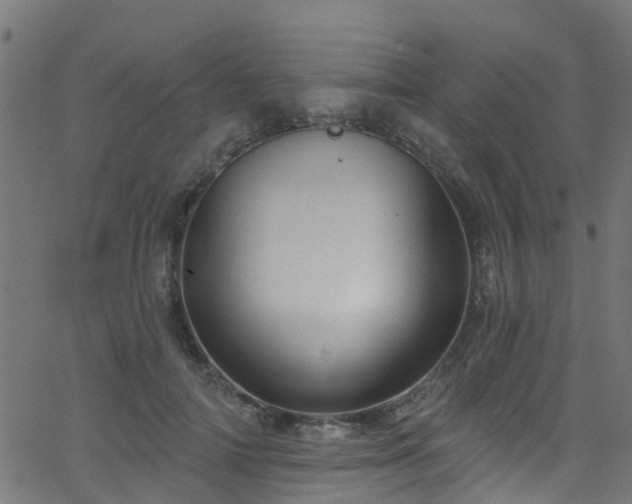 X0000068770698200605011027