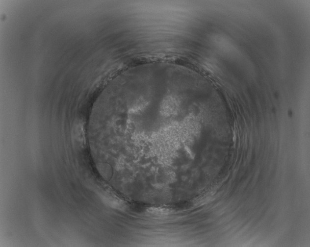 X0000068770699200605011027