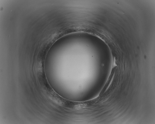 X0000068770700200605011027