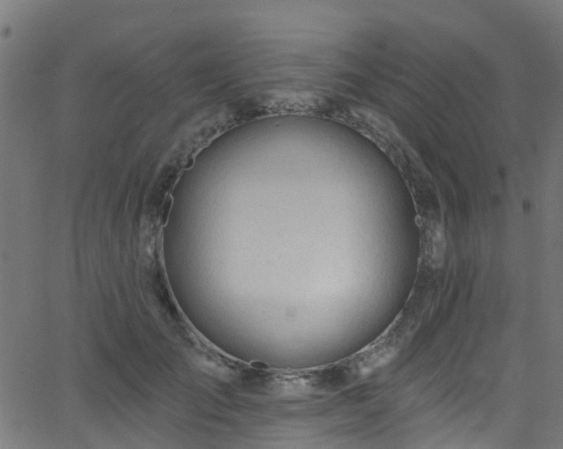 X0000068770701200605011027