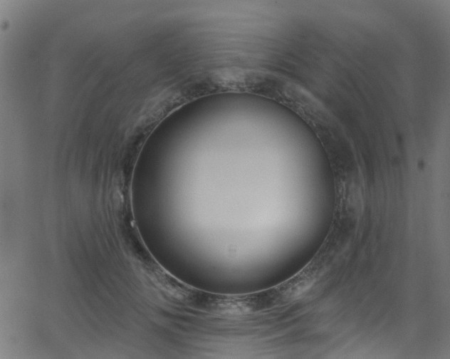 X0000068770702200605011027