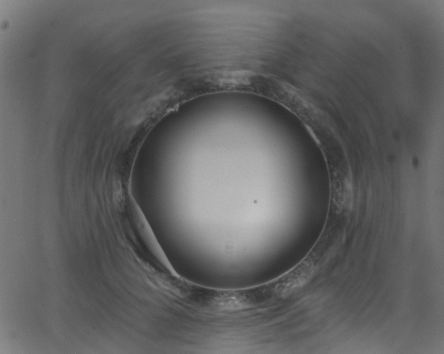 X0000068770704200605011027