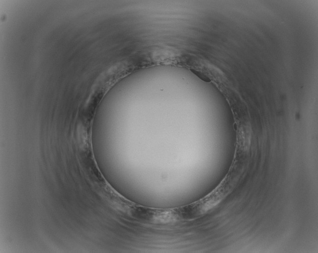 X0000068770705200605011027