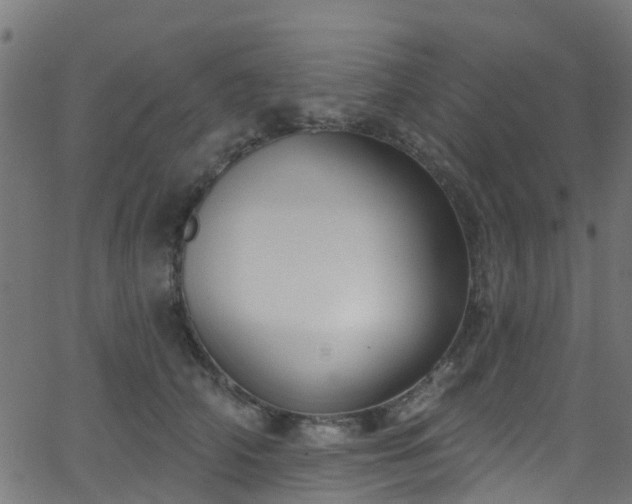 X0000068770706200605011027