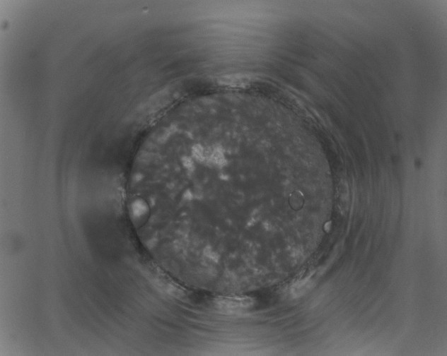 X0000068770707200605011027